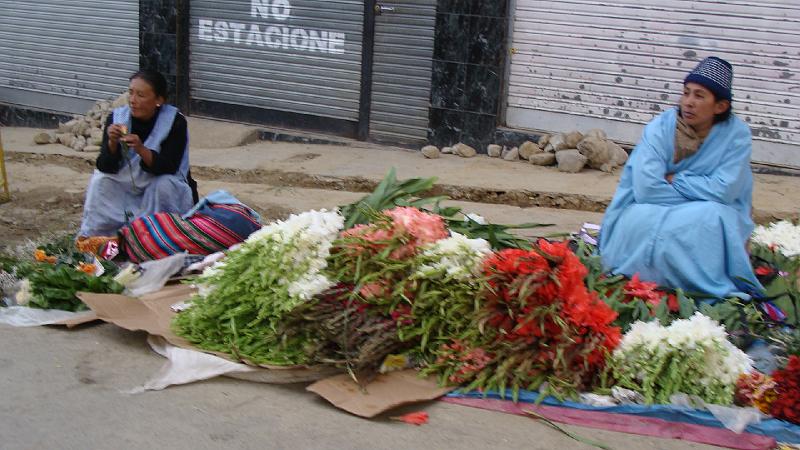 La Paz Steves (17).JPG